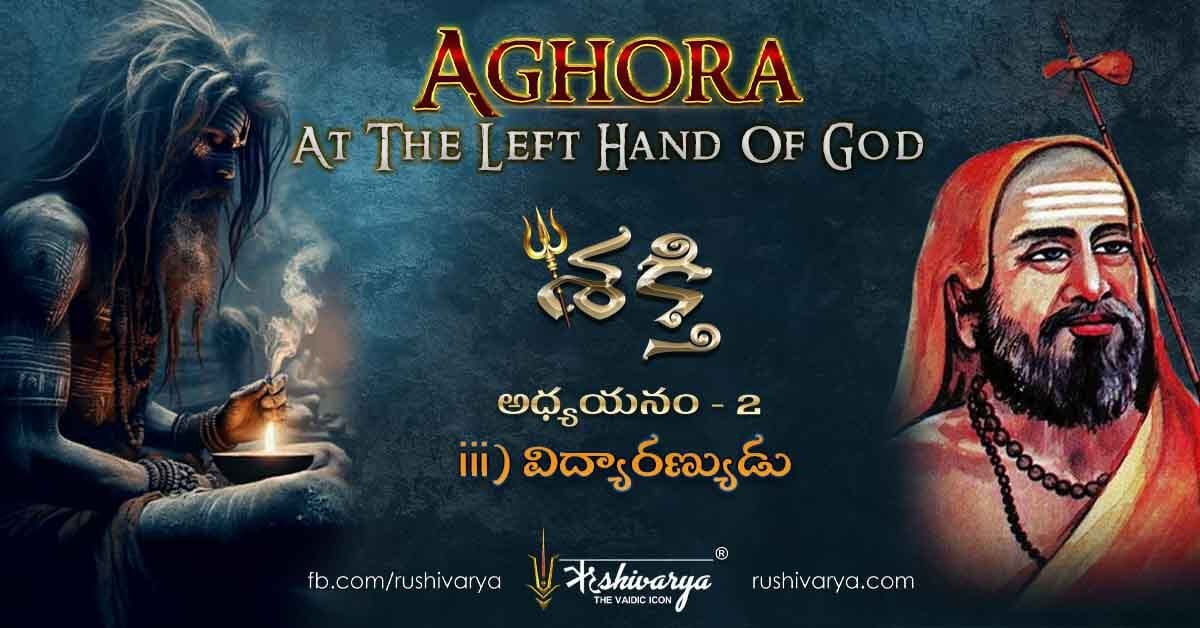 Aghora Chapter 2 – Part 3 Telugu | దేవి కృప మరియు విద్యారణ్యుడు